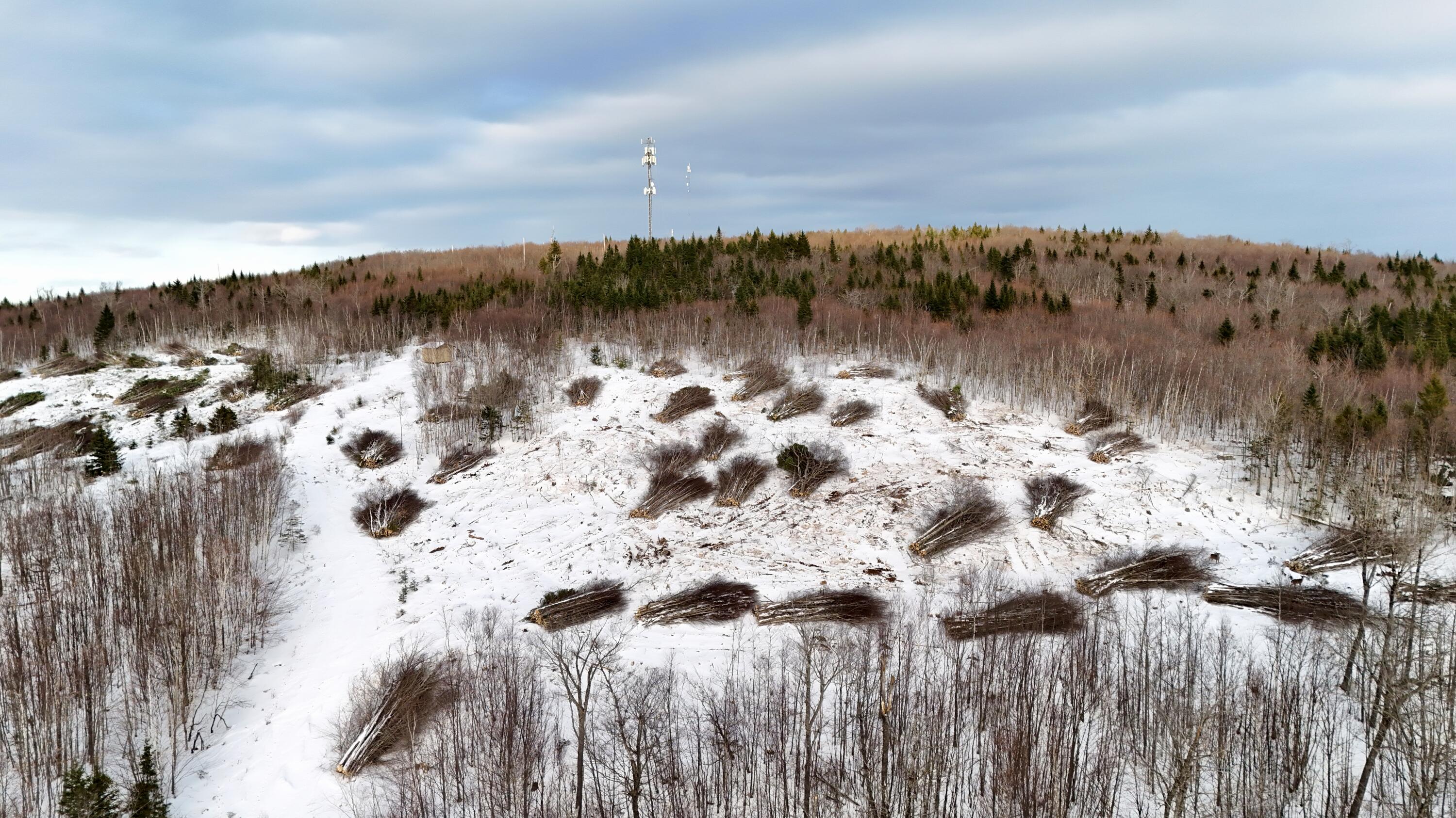 Lot 10 Blair Hill Road Greenville, ME 04441 - Photo 10 of 12 DJI_20251216144840_0449_D