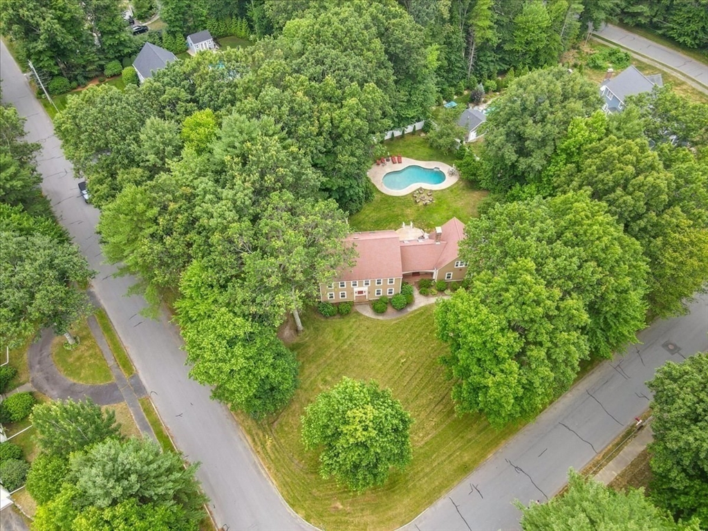 36 Wagon Road Walpole, MA 02081 - Photo 3 of 42
