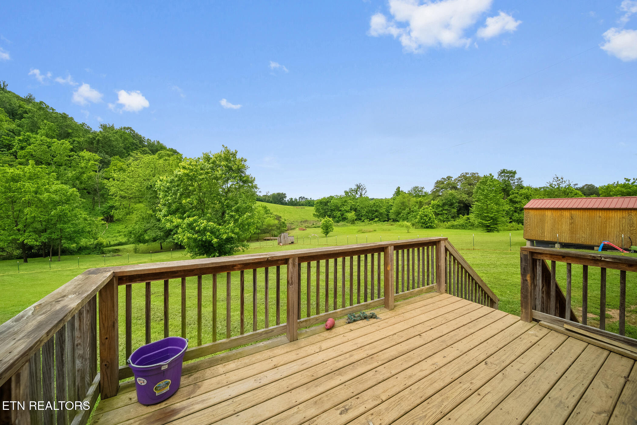3917 Shipe Road Corryton, TN 37721 - Photo 17 of 41 dsc01702