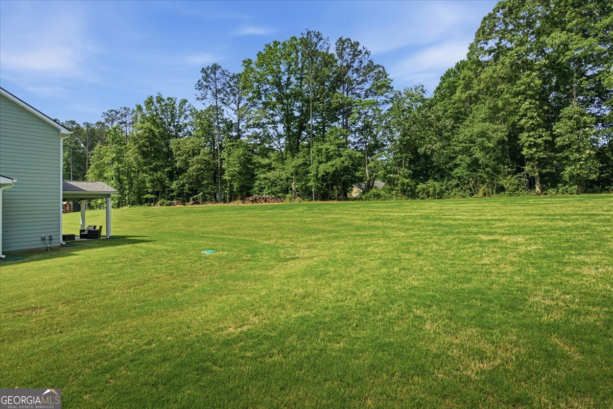 2 White Pond Road Moreland, GA 30259 - Photo 46 of 59