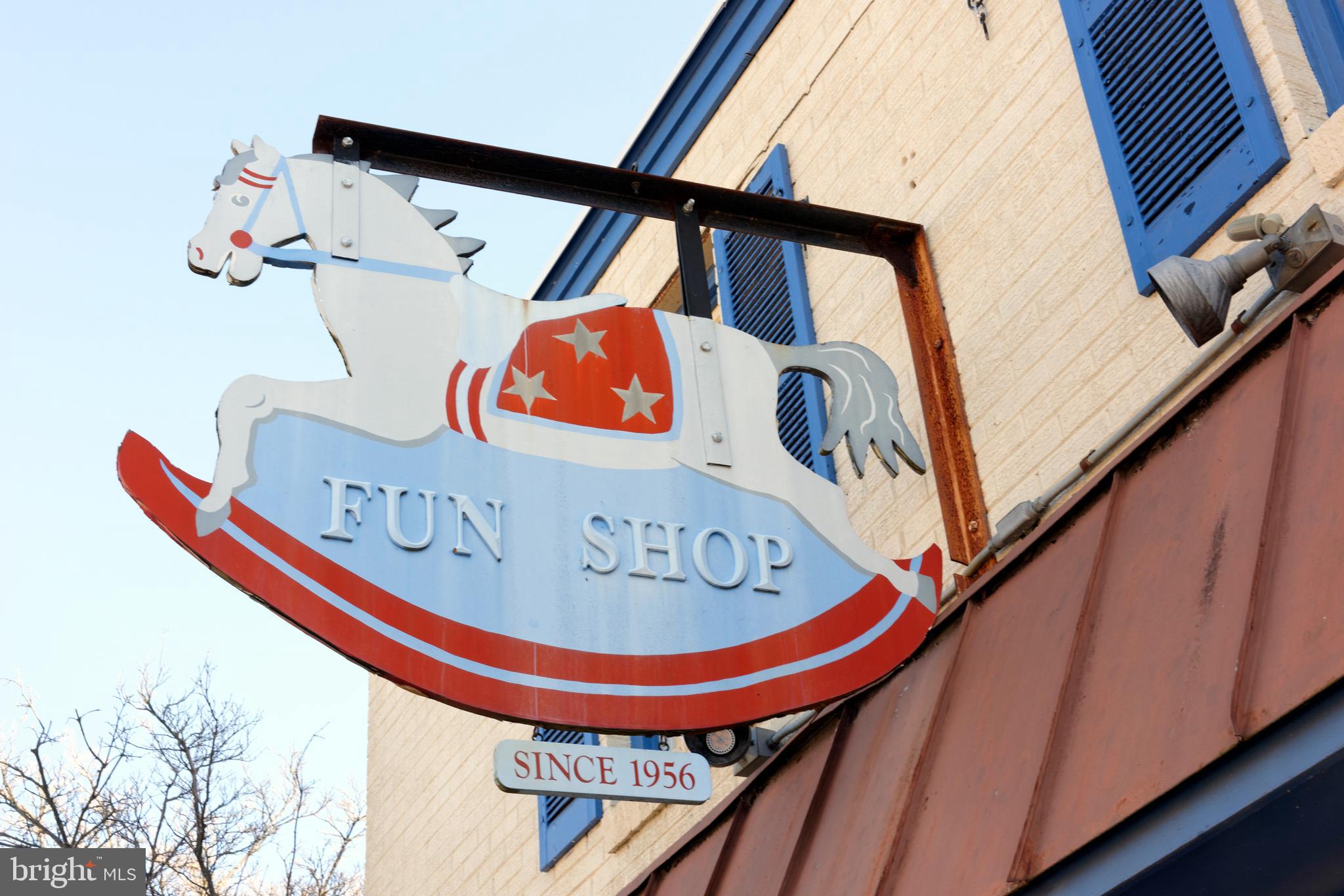 35673 Millville Road Middleburg, VA 20117 - Photo 36 of 53 Enjoy shopping in Middleburg