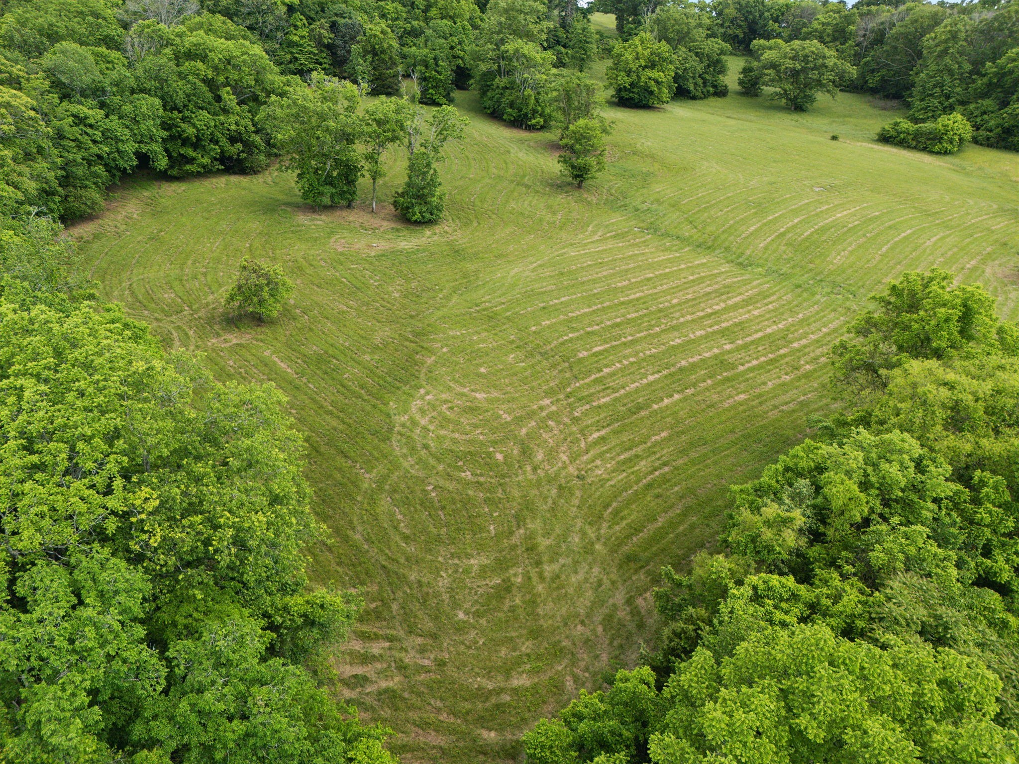 0 Arno Road College Grove, TN 37046 - Photo 11 of 25 a view of yard with green space