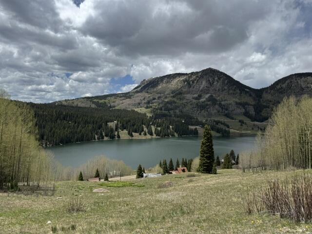 Lot 56 Trout Lake Road Ophir, CO 81426 - Photo 3 of 5 IMG_0633