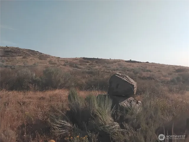 a view of a mountain in the distance in a field