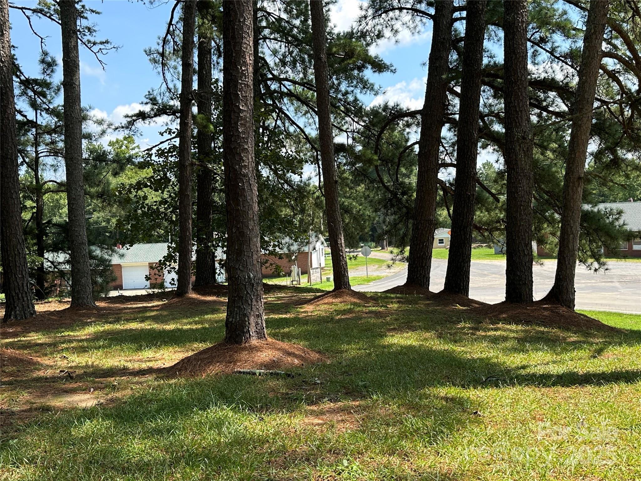 625 Teddar Road Mount Gilead, NC 27306 - Photo 3 of 25 a view of a yard with plants and trees