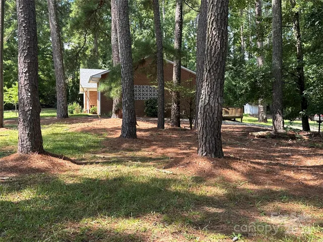 a view of road with trees