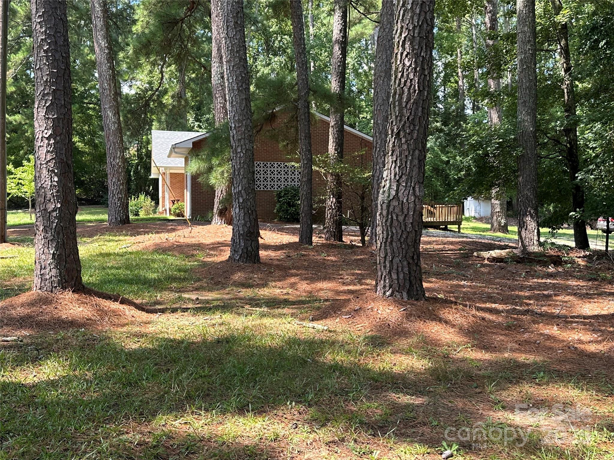 625 Teddar Road Mount Gilead, NC 27306 - Photo 5 of 25 a view of road with trees