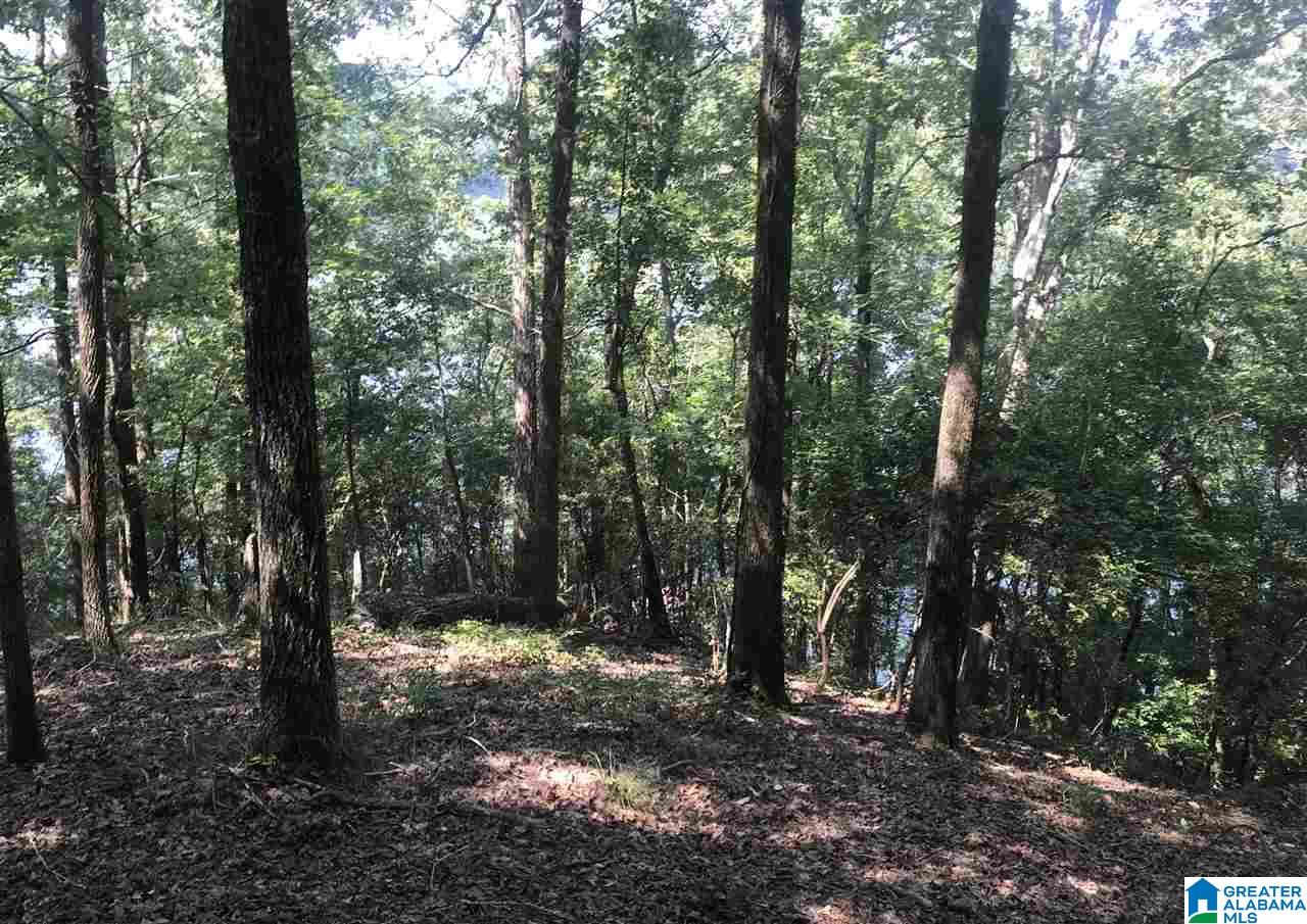 0 Sleepy Hollow Road, Unit 75 Rockford, AL 35136 - Photo 13 of 33