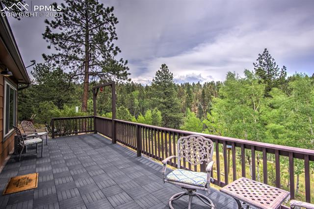258 Spruce Creek Road Divide, CO 80814 - Photo 3 of 34 Gallery Image 3