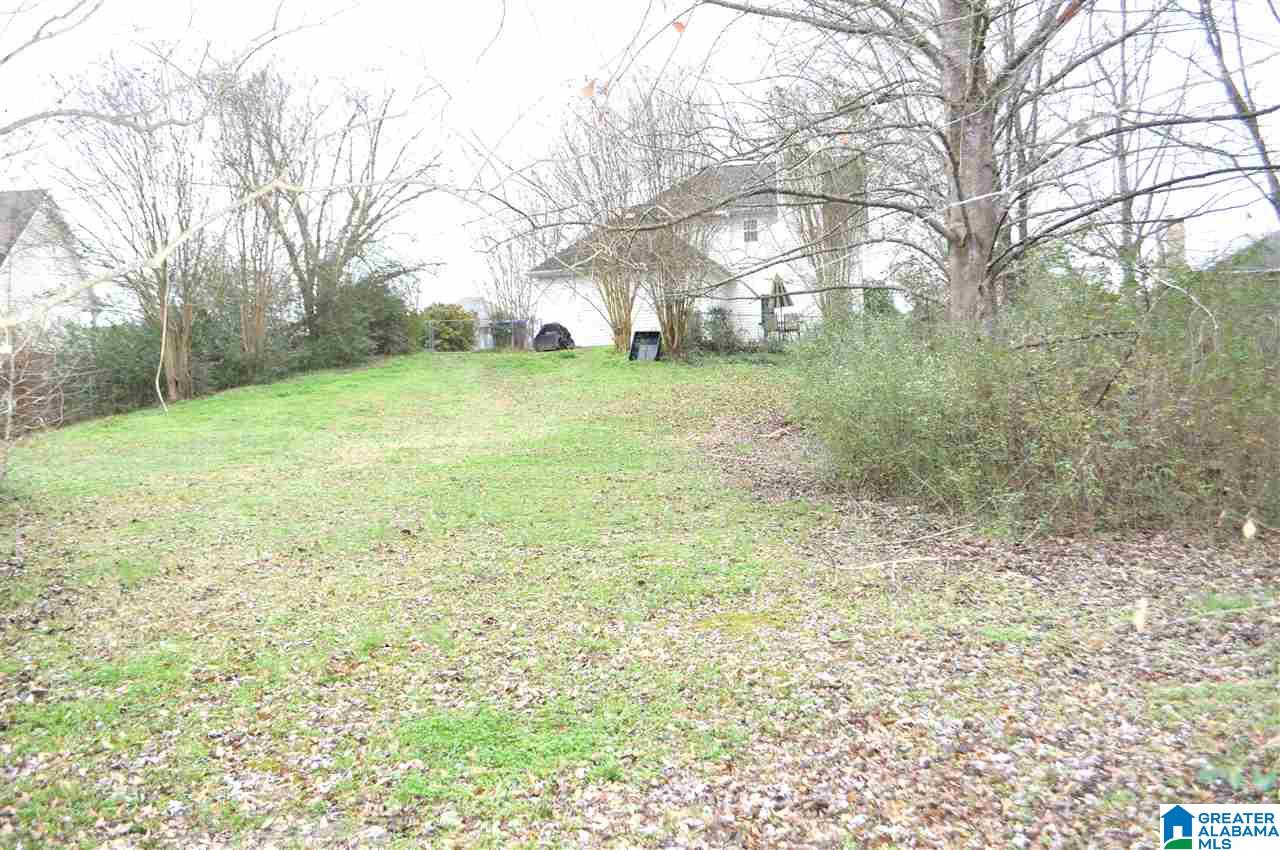 211 Dolphin Court Alabaster, AL 35007 - Photo 15 of 16