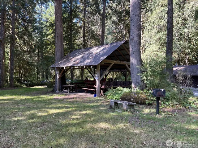 a view of backyard with table and chairs and a large tree