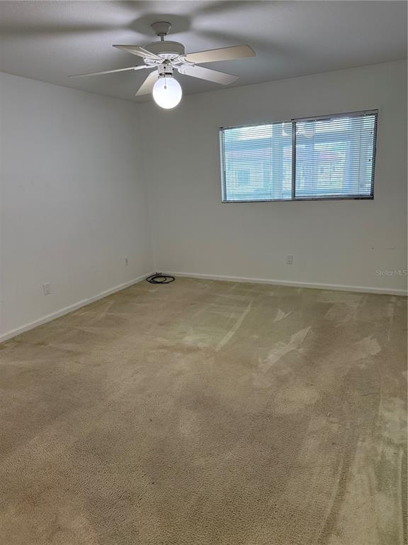 3115 Mission Grove Drive Palm Harbor, FL 34684 - Photo 11 of 13 an empty room with windows and fan