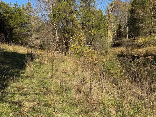 $129,000 | 1741 Highway 250, Rising Sun, IN 47040