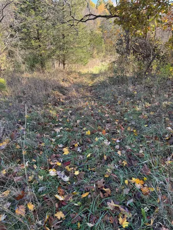 $117,500 | 1741 Highway 250, Rising Sun, IN 47040