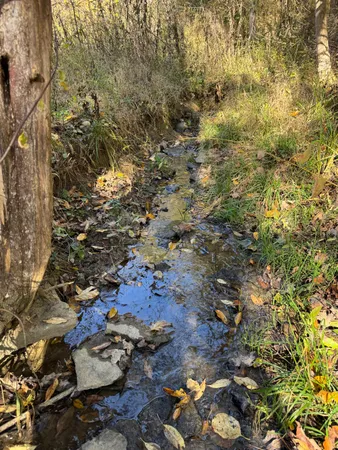 $117,500 | 1741 Highway 250, Rising Sun, IN 47040