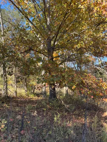 $129,000 | 1741 Highway 250, Rising Sun, IN 47040