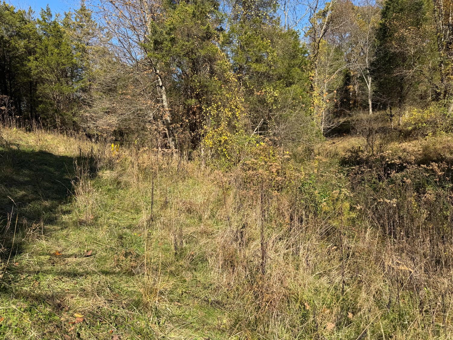 1741 Highway 250 Rising Sun, IN 47040 - Photo 13 of 19