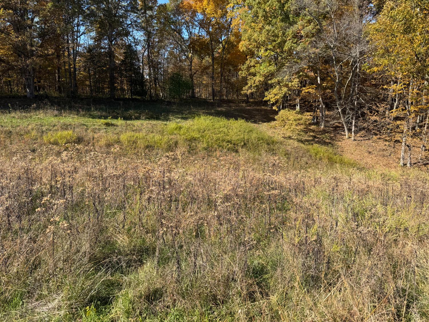 1741 Highway 250 Rising Sun, IN 47040 - Photo 15 of 19