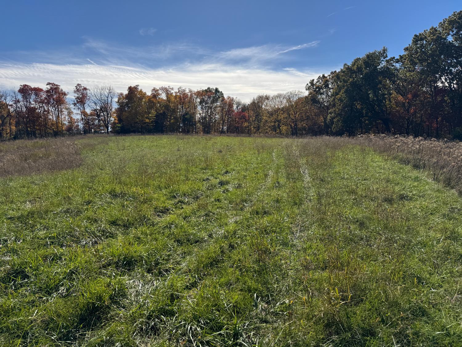 1741 Highway 250 Rising Sun, IN 47040 - Photo 16 of 19
