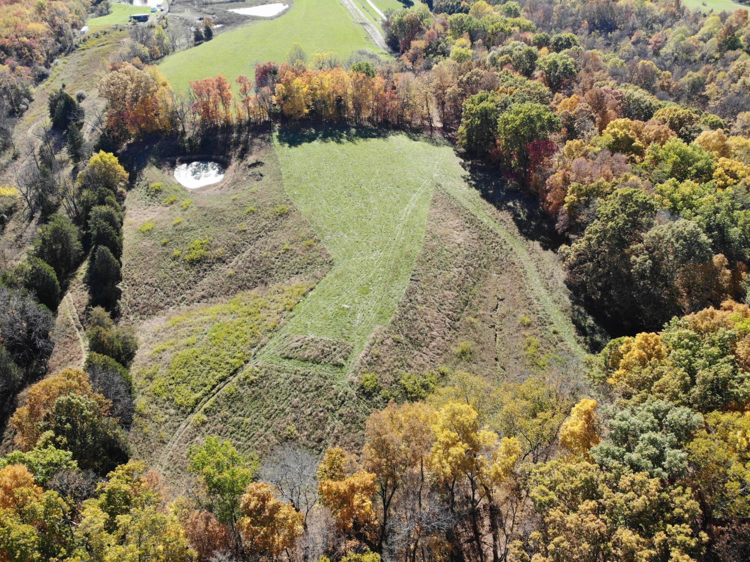 1741 Highway 250 Rising Sun, IN 47040 - Photo 3 of 19