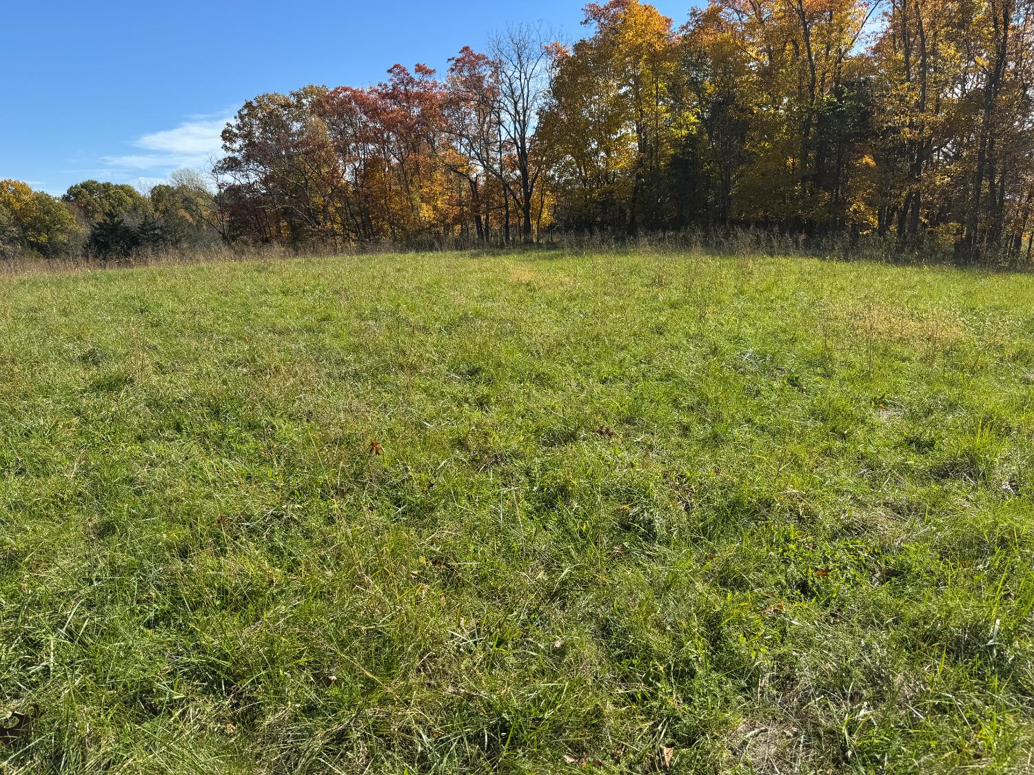 1741 Highway 250 Rising Sun, IN 47040 - Photo 7 of 19