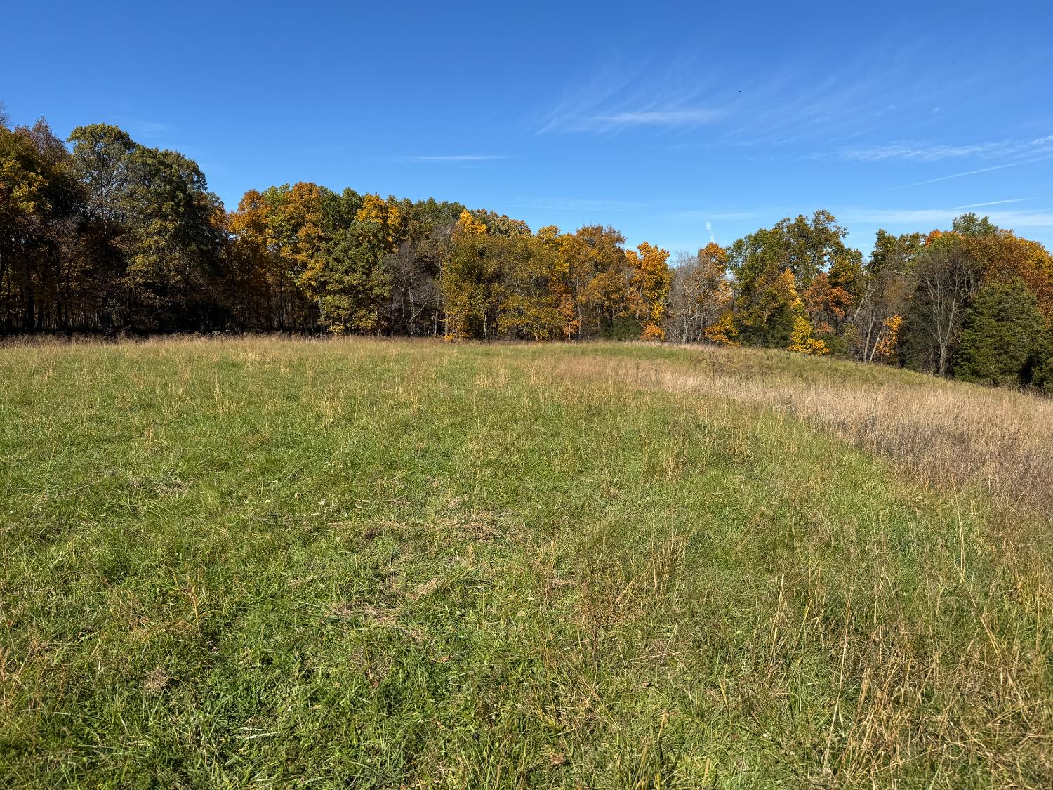 1741 Highway 250 Rising Sun, IN 47040 - Photo 8 of 19