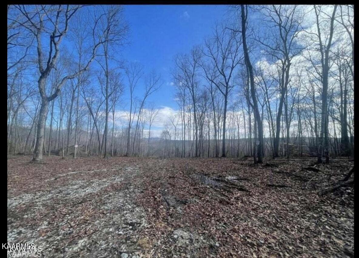 Charlie Newberry Road Lancing, TN 37770 - Photo 5 of 6 IMG_5650
