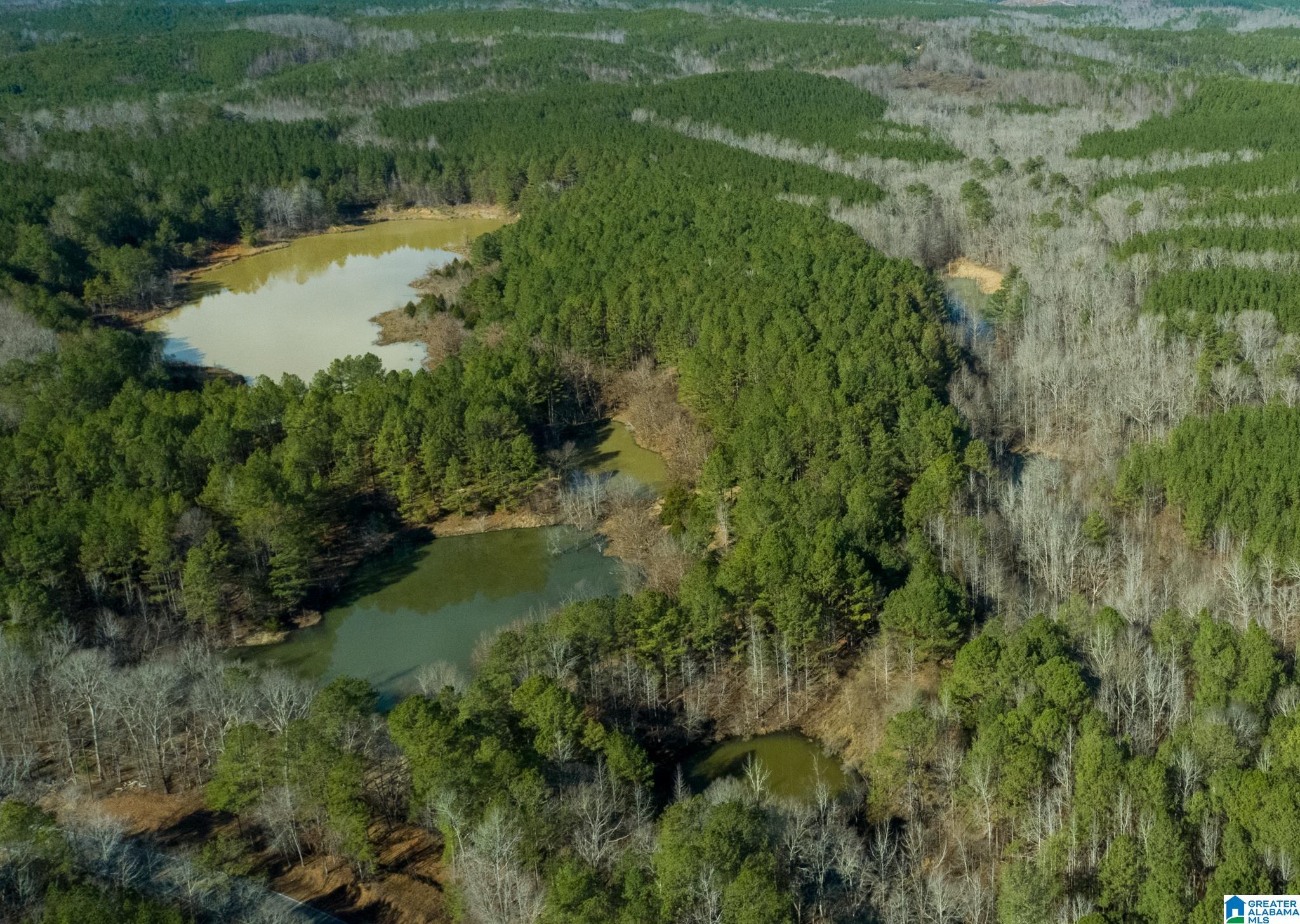 44 County Road, Unit 1 Brilliant, AL 35548 - Photo 1 of 10