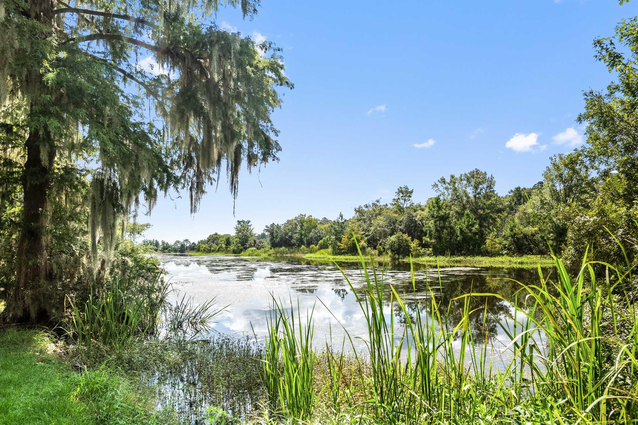 1185 Poco Sabo Lane Green Pond, SC 29446 - Photo 11 of 57 HFL_POCO SABO PLANTATION-23