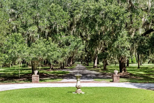 $22,500,000 | 1185 Poco Sabo Lane, Green Pond, SC 29446