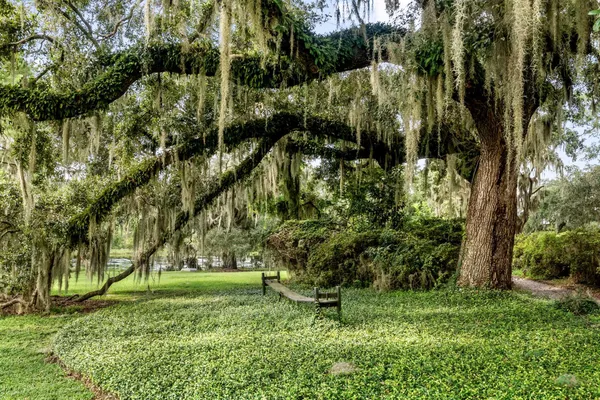 $22,500,000 | 1185 Poco Sabo Lane, Green Pond, SC 29446