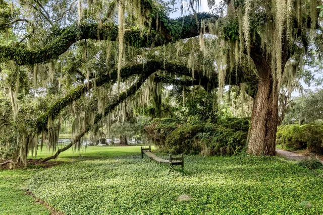 $22,500,000 | 1185 Poco Sabo Lane, Green Pond, SC 29446