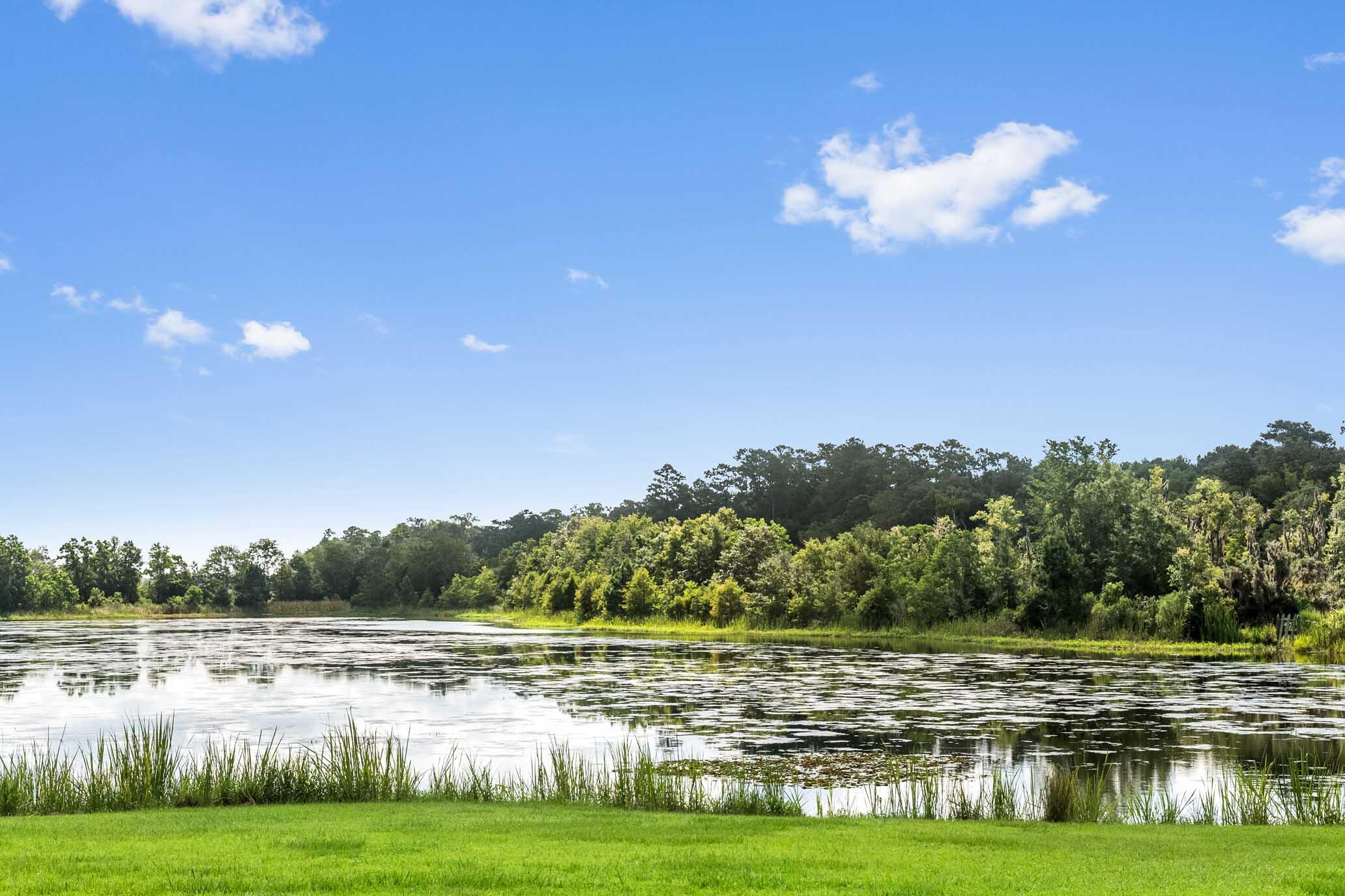 1185 Poco Sabo Lane Green Pond, SC 29446 - Photo 25 of 57 HFL_POCO SABO PLANTATION-28