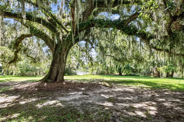 $22,500,000 | 1185 Poco Sabo Lane, Green Pond, SC 29446