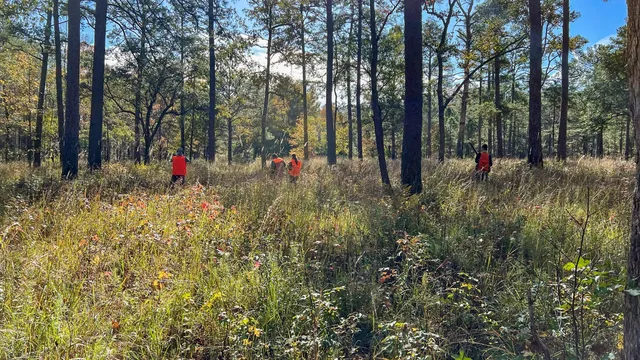 $22,500,000 | 1185 Poco Sabo Lane, Green Pond, SC 29446