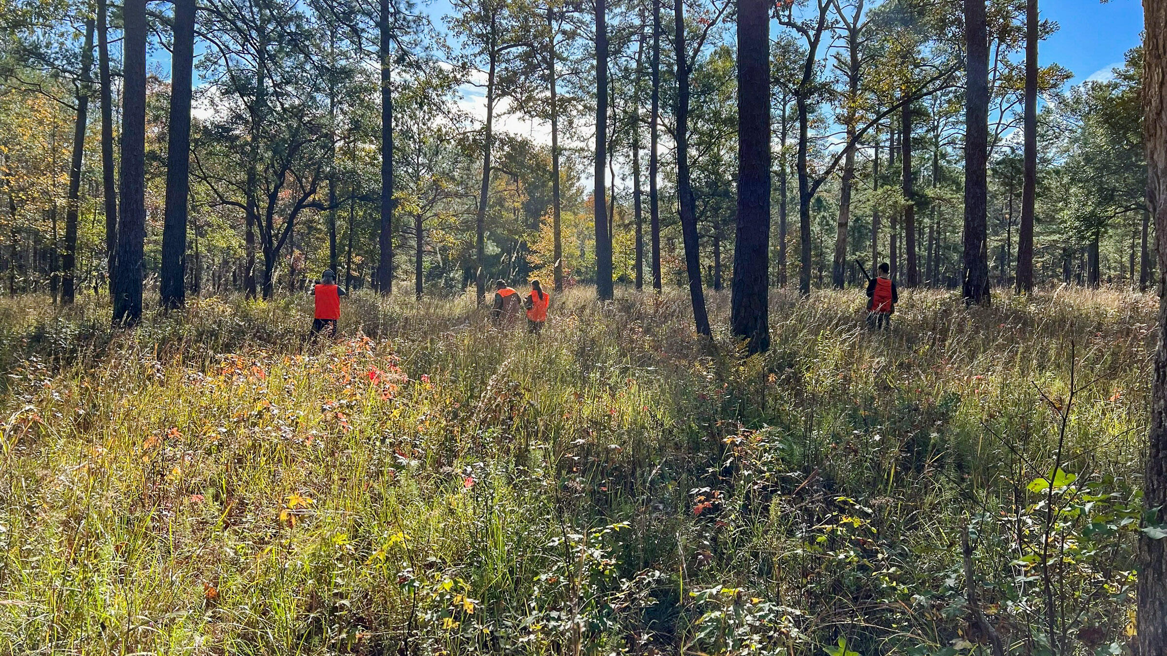 1185 Poco Sabo Lane Green Pond, SC 29446 - Photo 43 of 57 IMG_1737-2