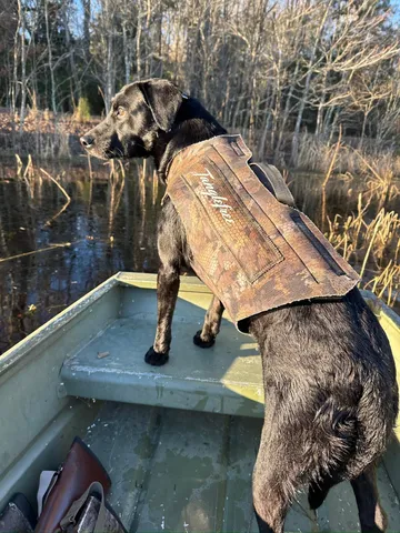 $22,500,000 | 1185 Poco Sabo Lane, Green Pond, SC 29446