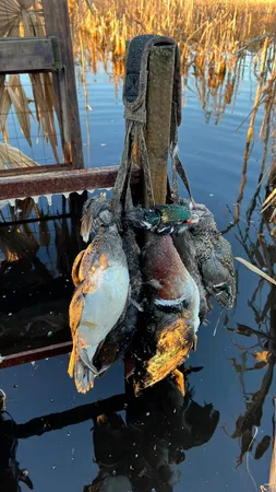 $22,500,000 | 1185 Poco Sabo Lane, Green Pond, SC 29446