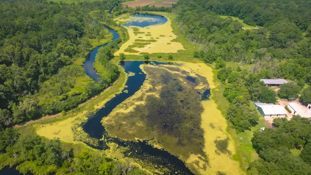 $22,500,000 | 1185 Poco Sabo Lane, Green Pond, SC 29446