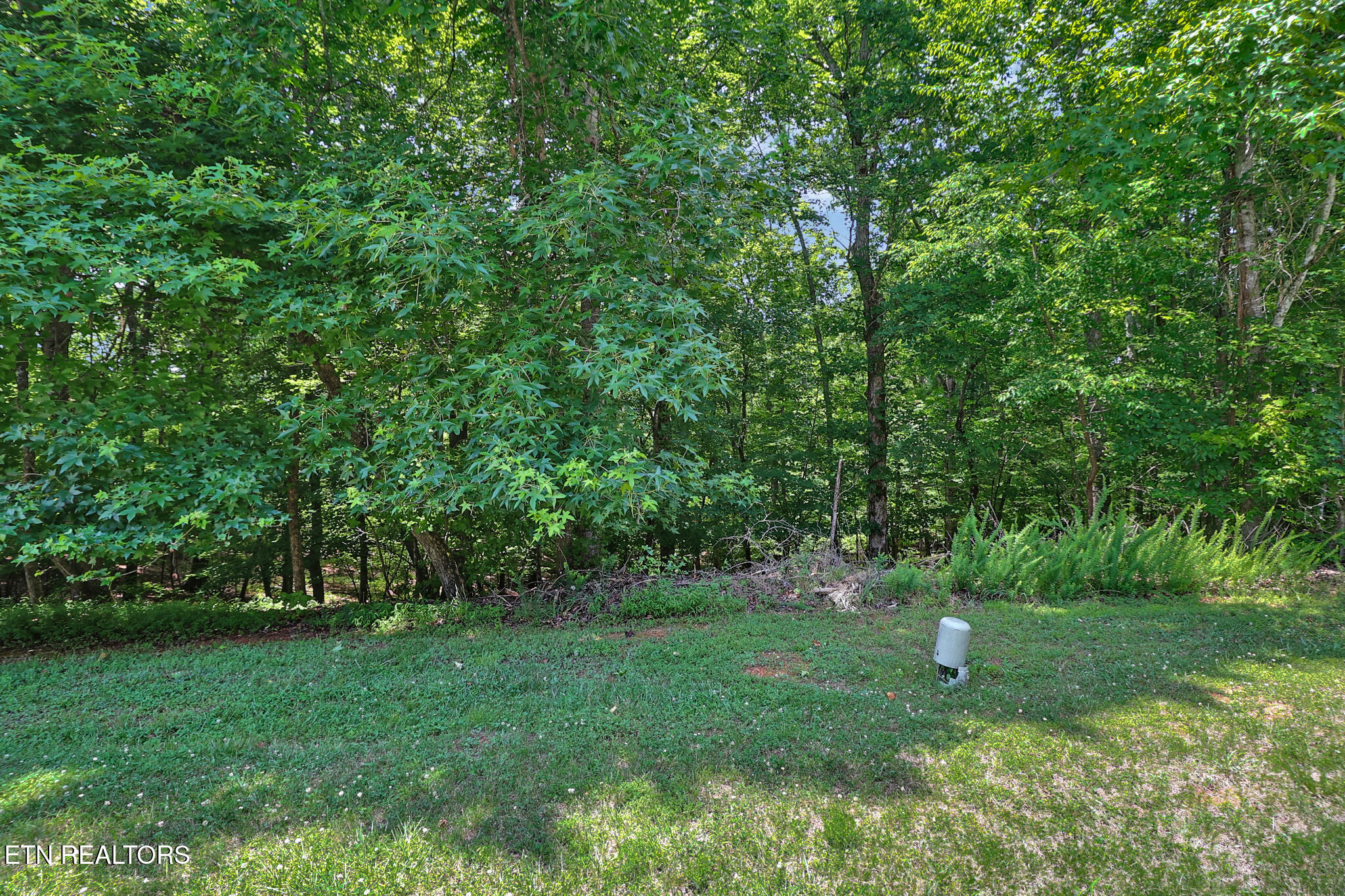 Lot 216 Reuben Ridge Road Rockwood, TN 37854 - Photo 13 of 15 n44a7387-n44a7391