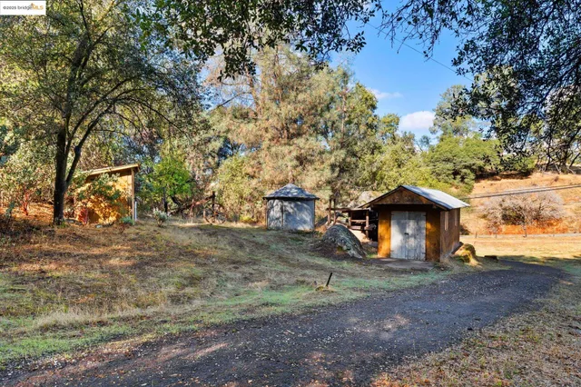 a view of a yard with a tree