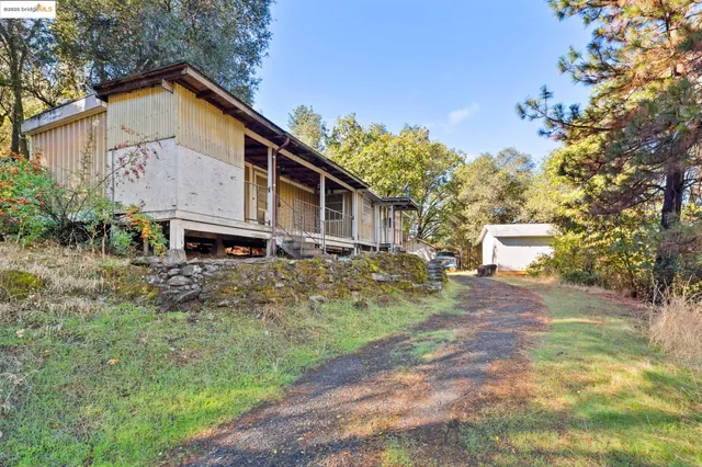 a view of a yard with large trees