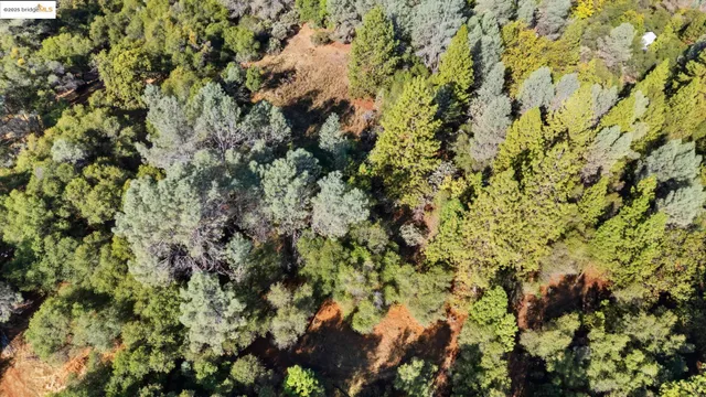 a view of lake with mountain