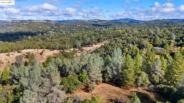 a view of a house with backyard and a tree