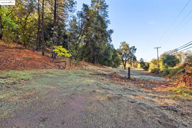 a view of a yard with tiny play house