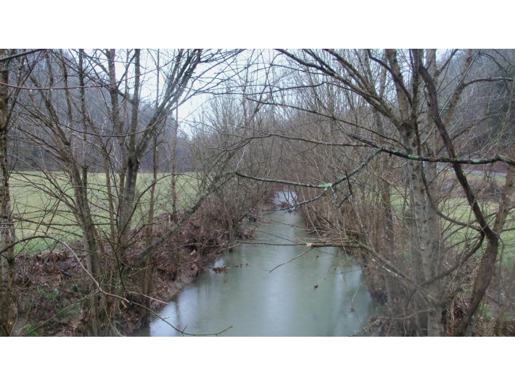 6573 Lone Star Road Kingsport, TN 37660 - Photo 6 of 21 Photo 6