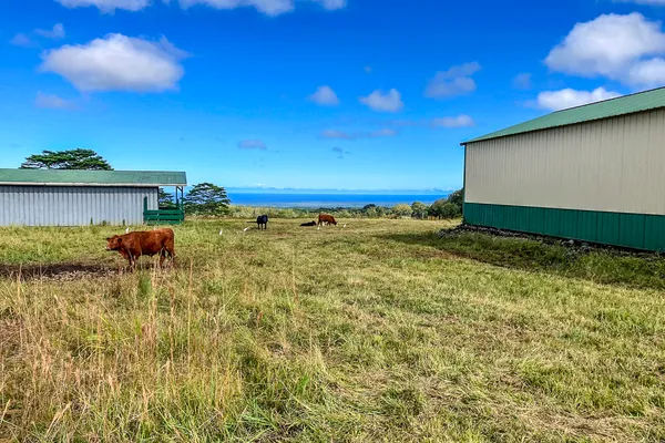 $975,000 | 17-4870 Lot A South Road, Mountain View, HI 96771