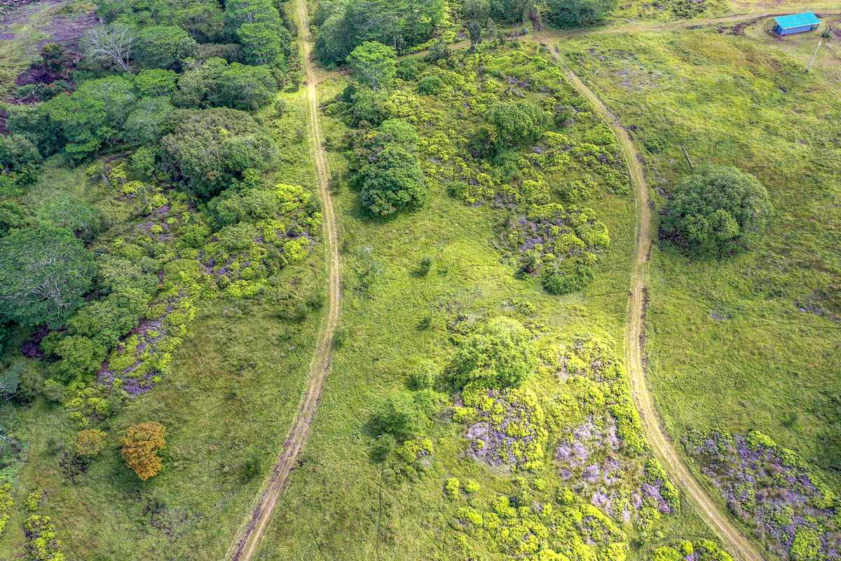 17-4870 Lot A South Road Mountain View, HI 96771 - Photo 23 of 29 a view of a garden