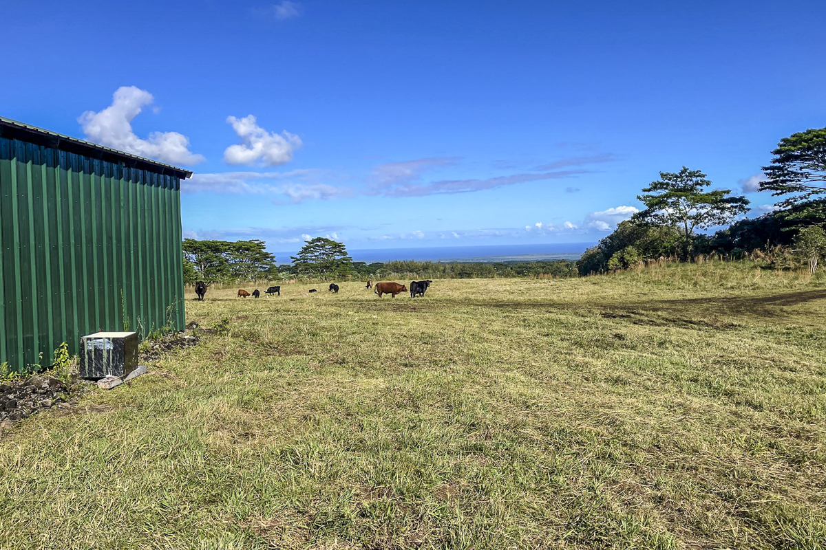 17-4870 Lot A South Road Mountain View, HI 96771 - Photo 5 of 29 a view of a yard