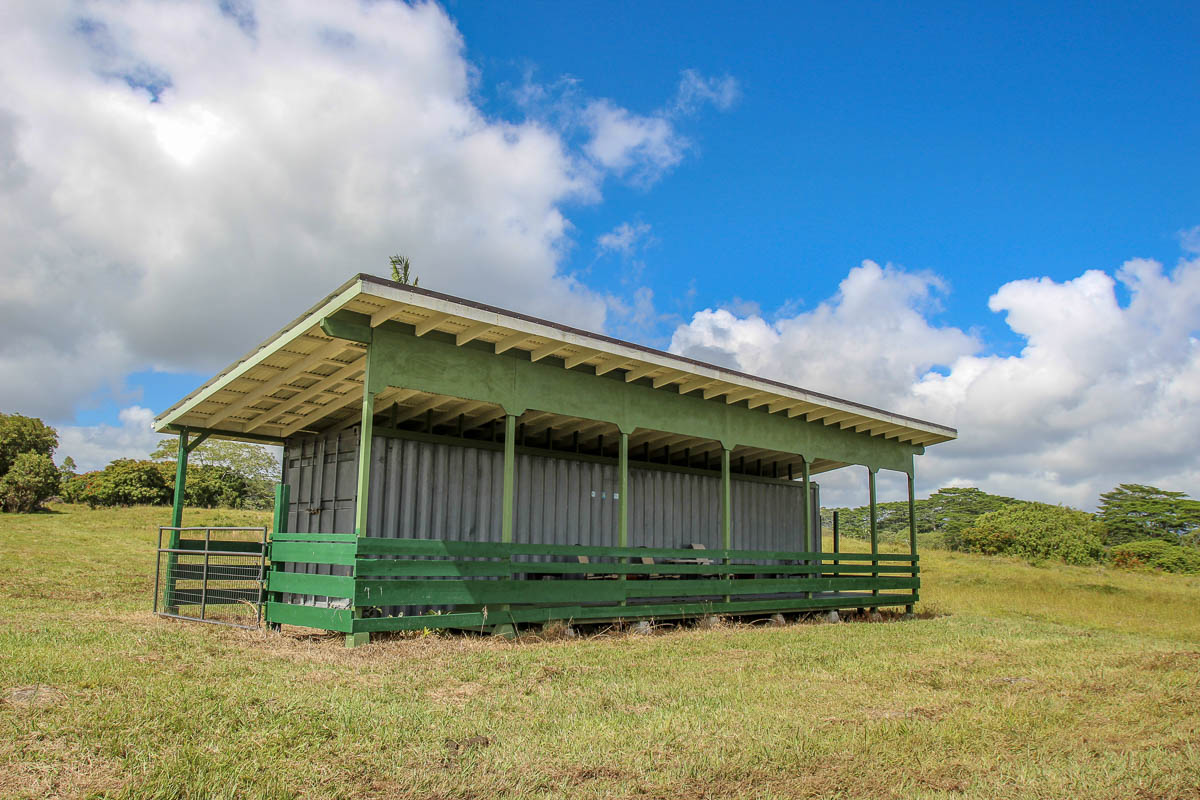 17-4870 Lot A South Road Mountain View, HI 96771 - Photo 8 of 29 a front view of a house with garden